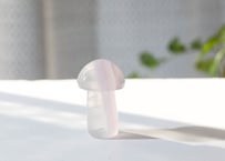 大技封入❣️【奇跡が起こる】フローライト きのこ