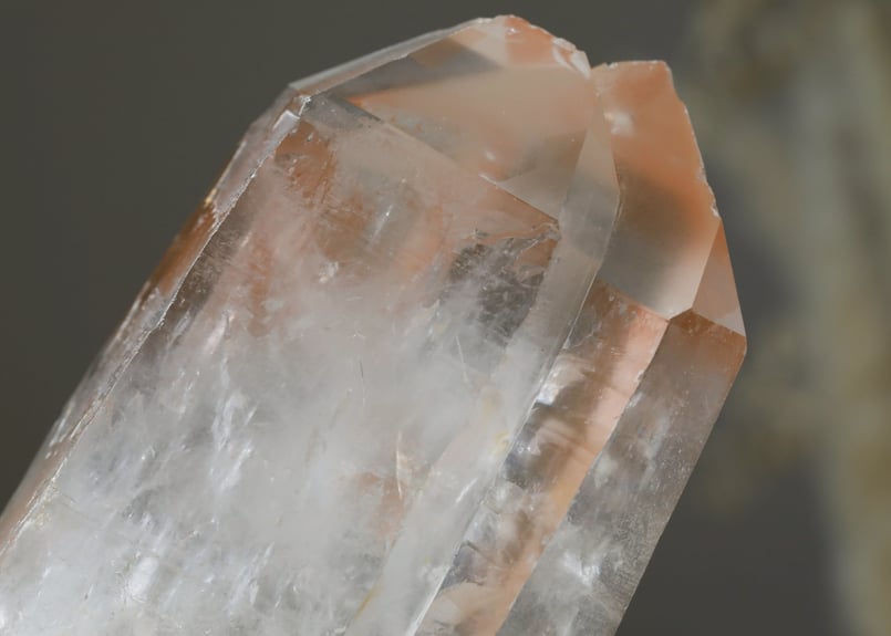 行きたい世界に行ける技入り】ミナスジェライス州産 タンジェリン