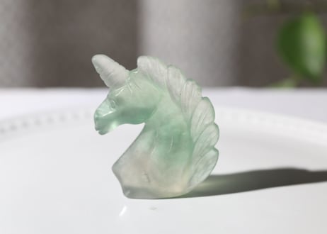 【マインドの拘束からの解放シッティ入り】フローライト ユニコーン