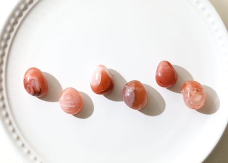 【センスが光る】サードニクス（6個セット）
