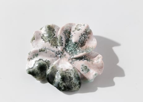 【海風のとなり】オーシャンジャスパーの花