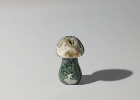 CATEGORY 石の形で選ぶ キノコ | Y.S.Y24