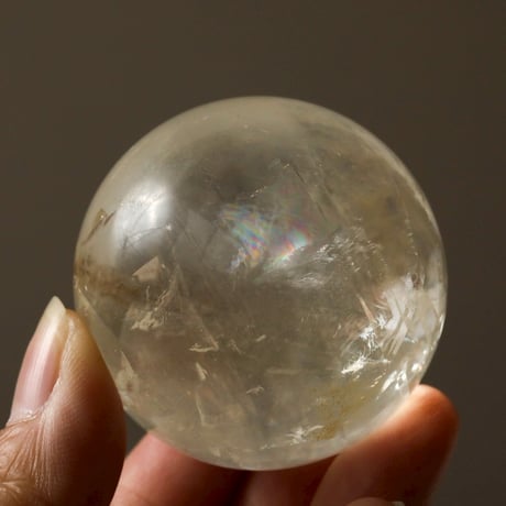 ゴールデンカルサイト | STORES