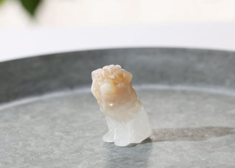 【悟りのシッディ入り】チェリーブロッサムアゲート ライオン