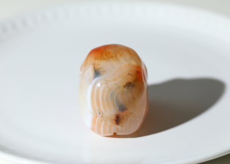 【陰陽統合】サードニクス スカル