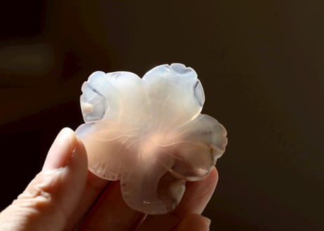 【愛の人】チェリーブロッサムアゲート 花