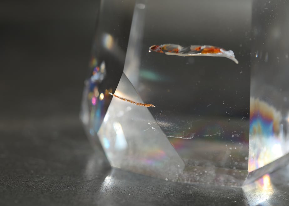 6992ef7d9797c7193e0b081f