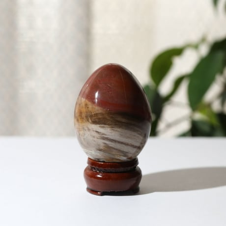 ペトリファイドウッド プレート 約2.5cm ⑤ 1点物】ペトリファイド