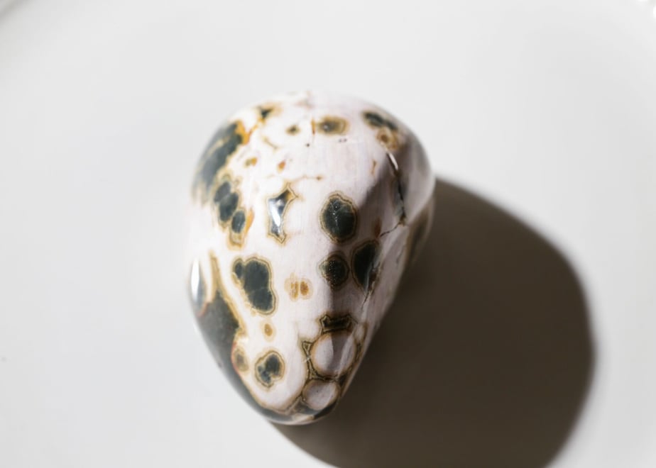 6336d24abd5e4d25a54cd26a