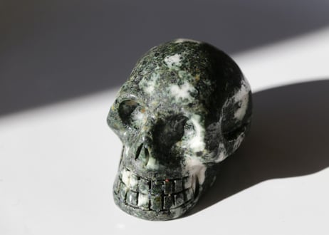 プレセリブルーストーン スカル　【未来永劫】