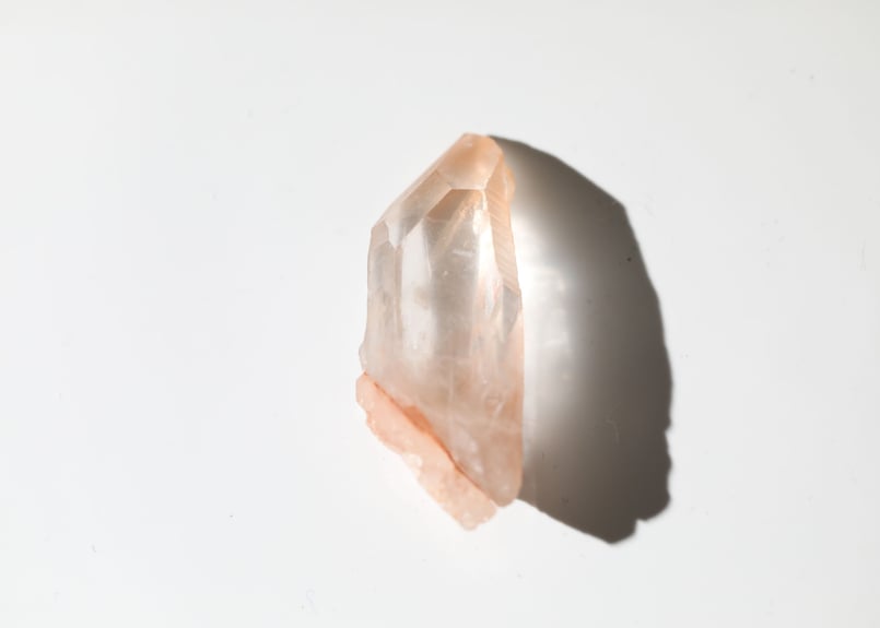 トトリュ　幻想の森　シークレット　ピンク TORY BURCH トリーバーチ 三つ折財布 カーフ ピンク 【431