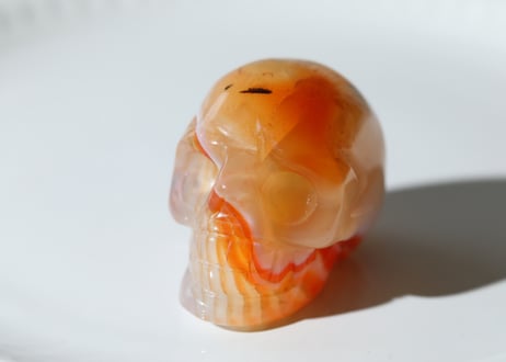 【陰陽統合】サードニクス スカル
