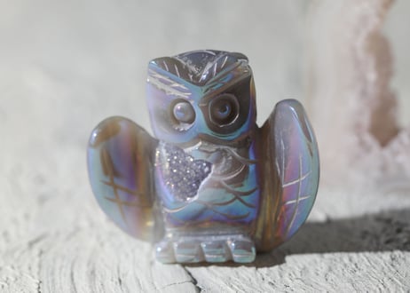 【お正月初売りスペシャル】天使と繋がる幸福のフクロウセット
