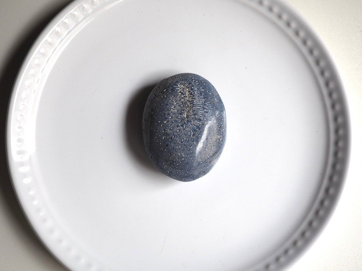 生きる力】ブルーフォッシルコーラルの握り石 | Y.S.Y24