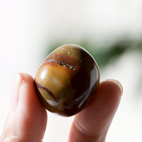 ムーカイトジャスパー | STORES