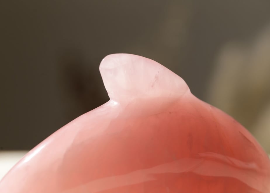 65055d337570b10890b7fd54