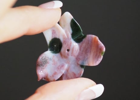 【洗練】オーシャンジャスパーの花