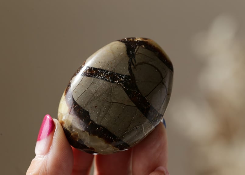 万能さ】セプタリアン 握り石 | Y.S.Y24