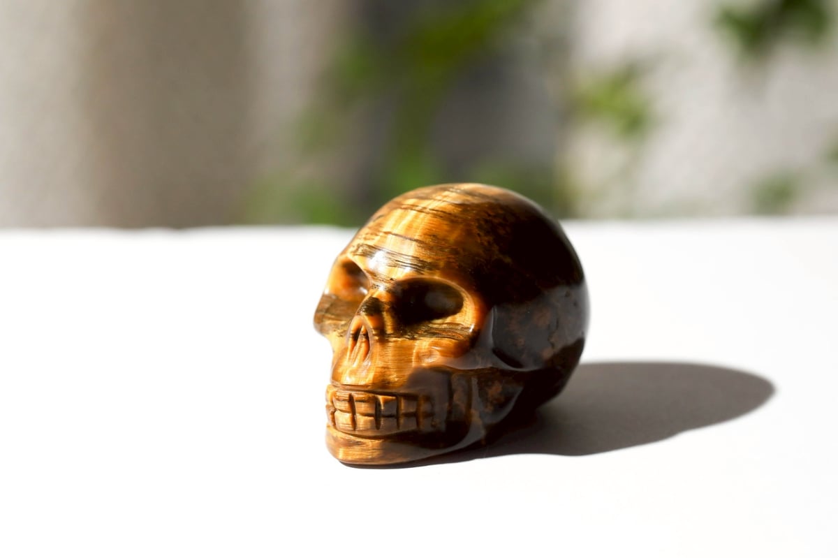 悟りのシッディ入り】タイガーアイ スカル | Y.S.Y24