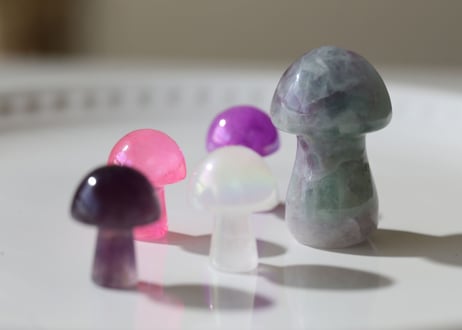 【精霊を呼ぶ森】きのこの森セット