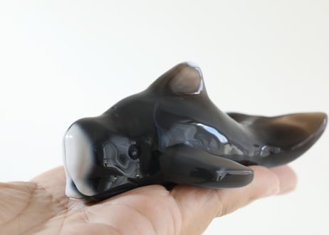 CATEGORY 効果で選ぶ 健康 | Y.S.Y24