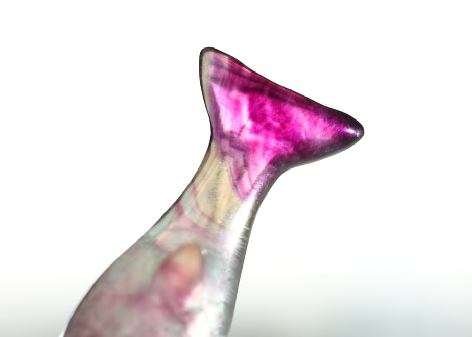 66f566aafa2afe00e57f207b