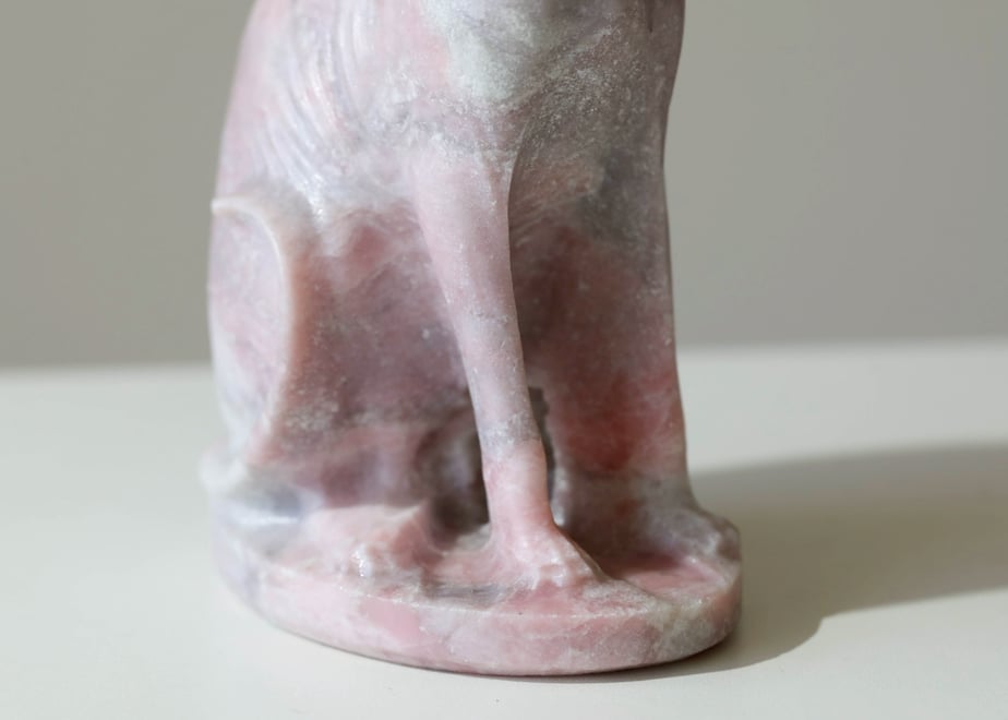 69e399e49d9d4f9becc422b4