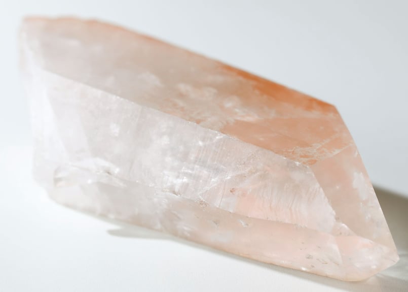 行きたい世界に行ける技入り】ミナスジェライス州産 タンジェリン