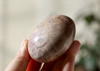 葉月ゆうによる技封入❣️【7億円のヒーリングエネルギー】ペトリファイドウッド 握り石 ※イベントクーポン使用不可