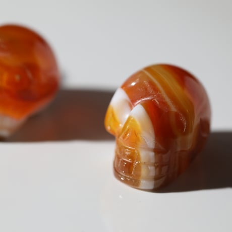 サードニクス | STORES