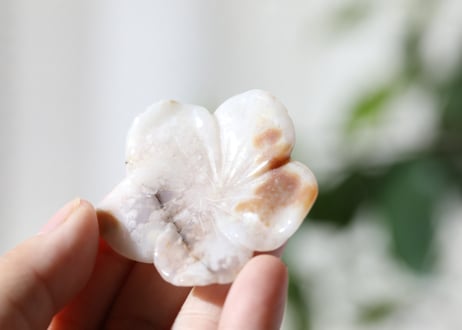 【慈悲の光で包む】チェリーブロッサムアゲート 花