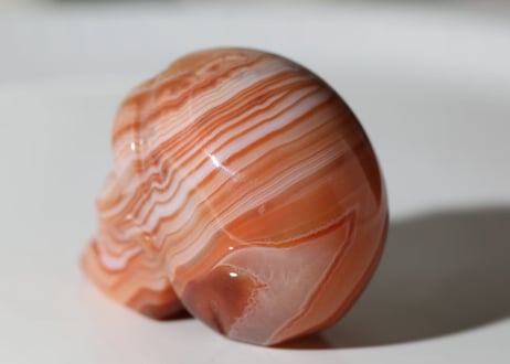 【カルマ解放のシッティ入り】サードニクス スカル