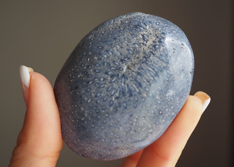 生きる力】ブルーフォッシルコーラルの握り石 | Y.S.Y24