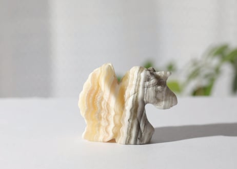 【6周年ユニコーン祭り🦄】【悟りのシッディ入り】異次元のバンデッドカルサイト ユニサス