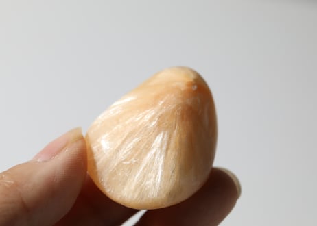 【マインドの拘束からの解放シッティ入り】愛のタンブルセット