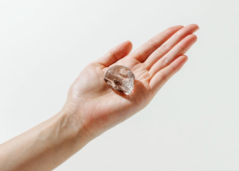 エドワード淺井さんによる技入り❣️【奇跡が起こる】ガーデン