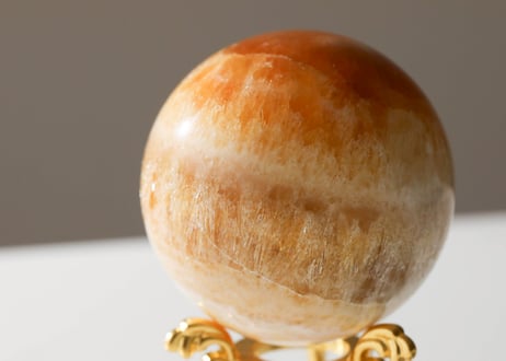 CATEGORY 特別セット商品 | Y.S.Y24