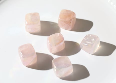 CATEGORY 特別セット商品 | Y.S.Y24