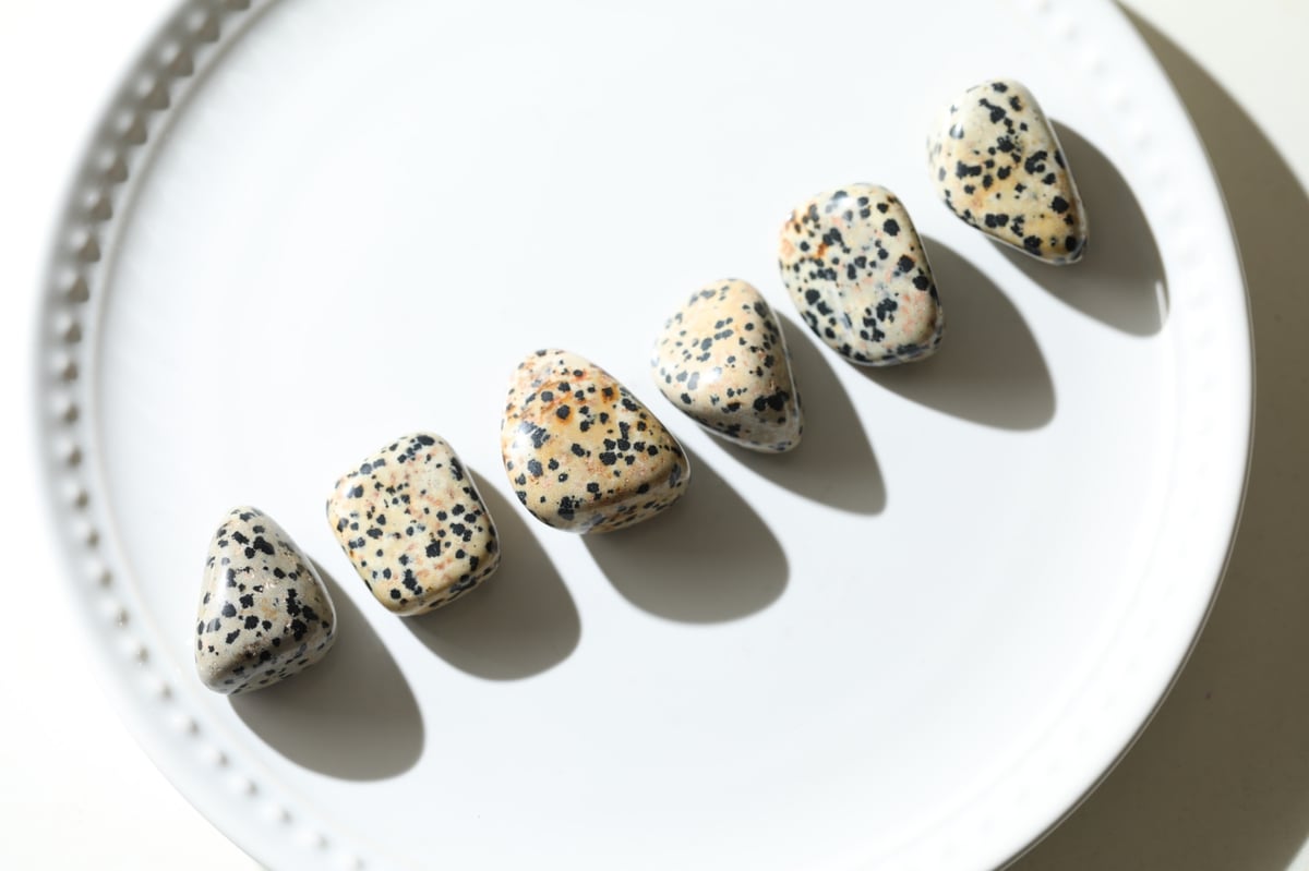 オシャレしたい気分】ダルメシアンジャスパー タンブル (6個セット