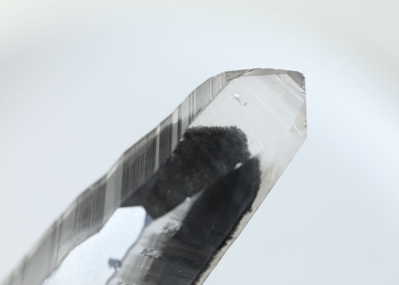 強力な魔法】バイーア州産 ブラックファントム レムリアン