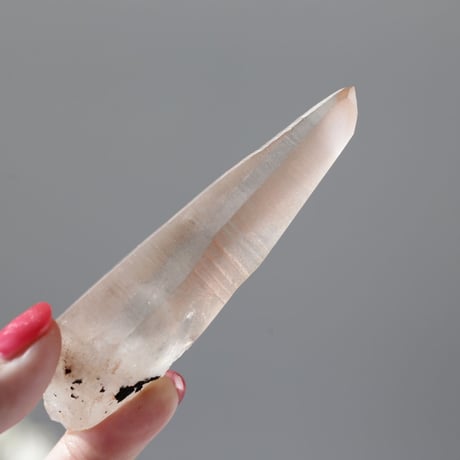 ピンクレムリアンシード | STORES