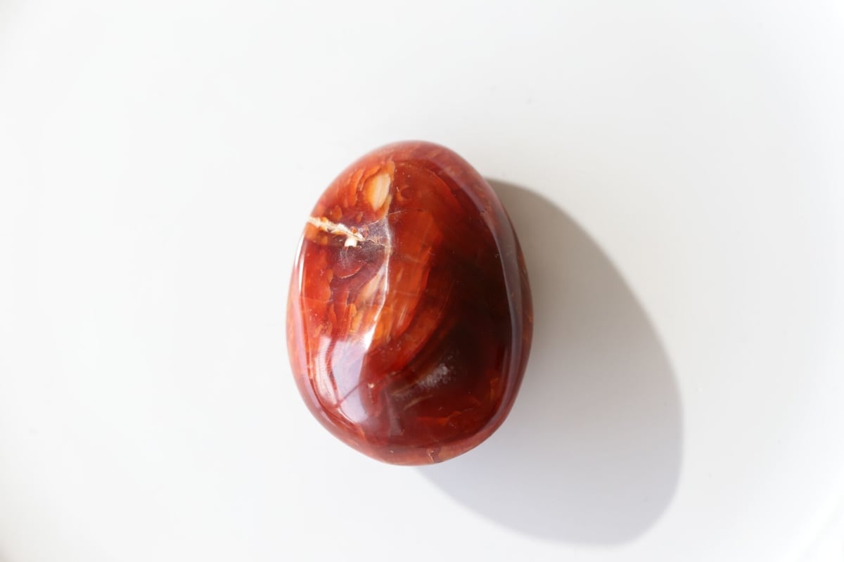 実現】カーネリアン 握り石 | Y.S.Y24