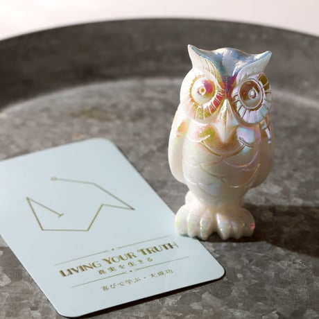お値下げ✴フランクリンミント✴梟さん7羽✴自宅保管品 梟 | STORES