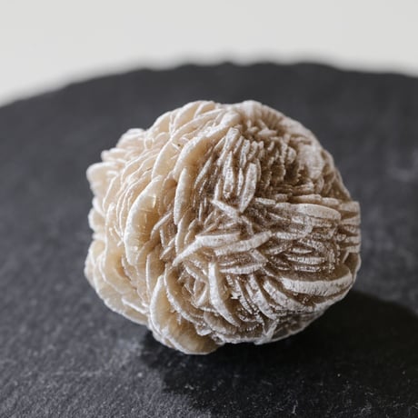 デザートローズ 新品未使用 楽天市場】Desert roseの通販