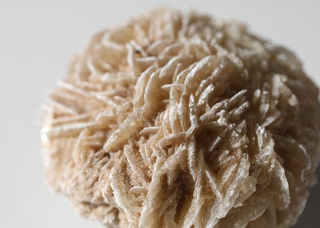 【あなたを包む】デザートローズ