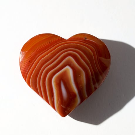 サードニクス | STORES