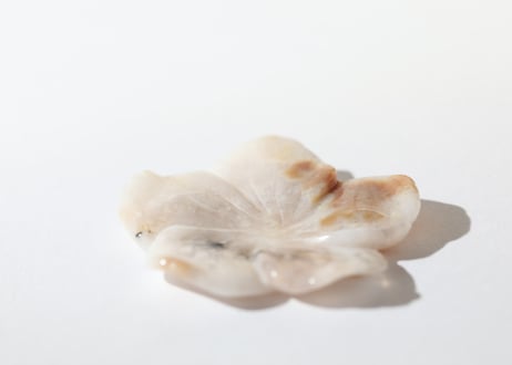 【慈悲の光で包む】チェリーブロッサムアゲート 花