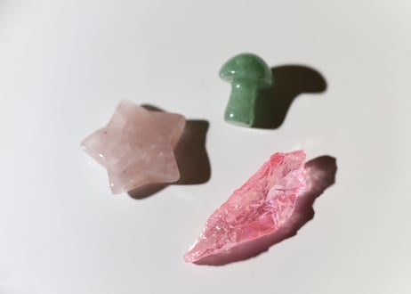 CATEGORY 石の形で選ぶ キノコ | Y.S.Y24