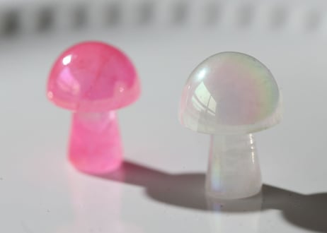 CATEGORY 石の形で選ぶ キノコ | Y.S.Y24