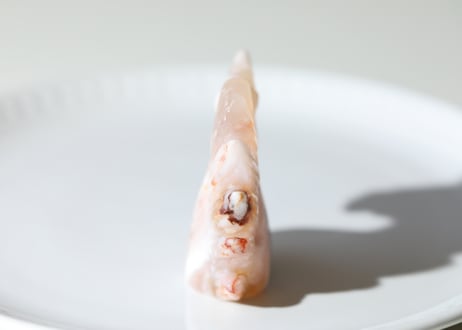 【桜のような人】チェリーブロッサムアゲート ユニコーン
